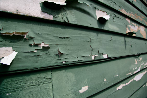 Best Storm Damage Siding Repair  in Westminster, MD