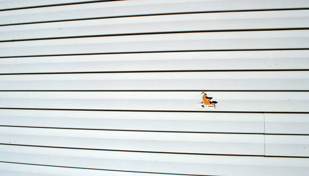 Best Wood Siding Installation  in Westminster, MD