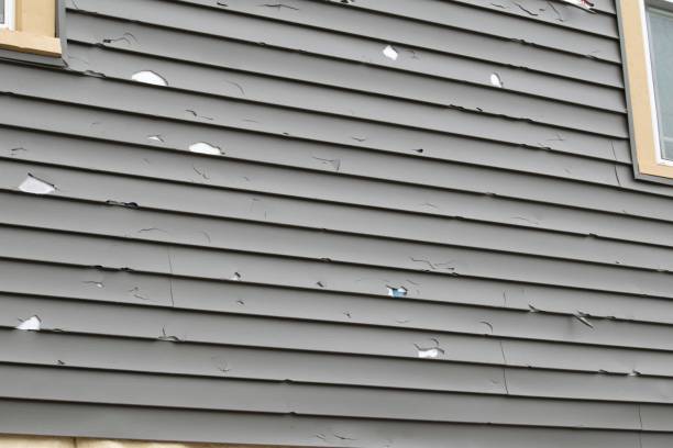 Best Residential Vinyl Siding Installation  in Westminster, MD